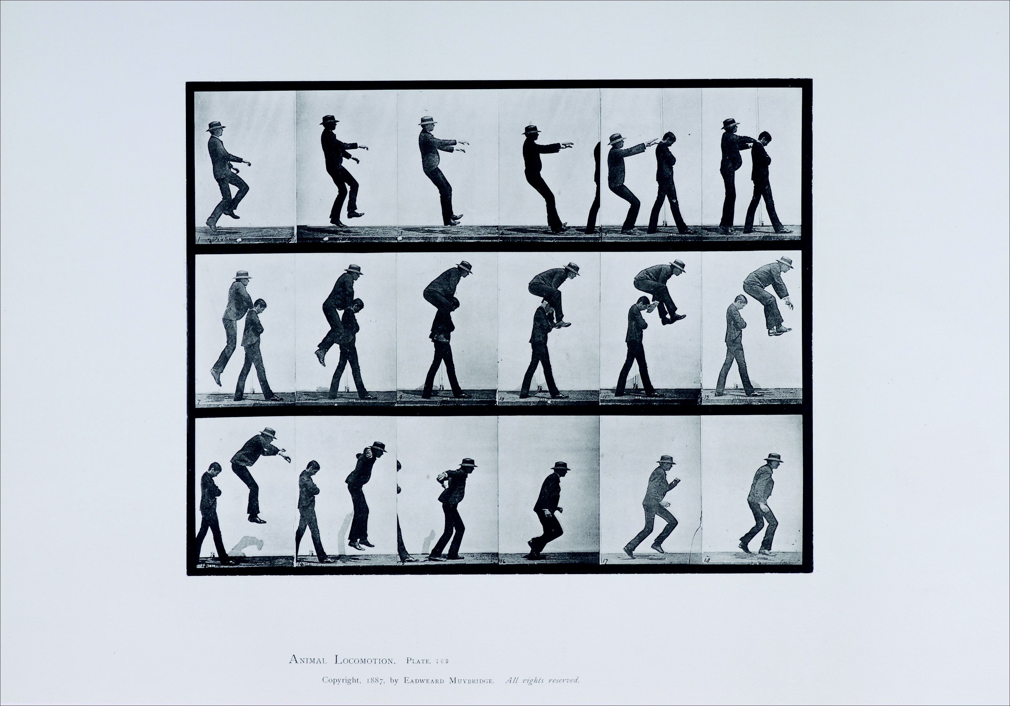 muybridge.jpg