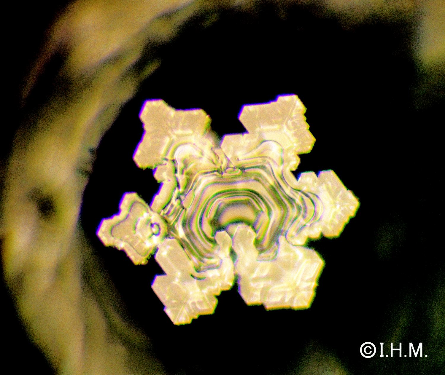 фотографии кристаллов воды